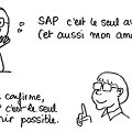 swot_sap